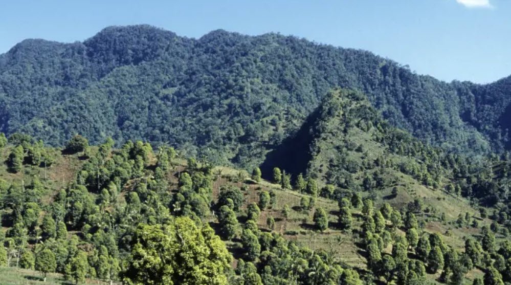 Mount Ntingui, Anjouan, Comoros